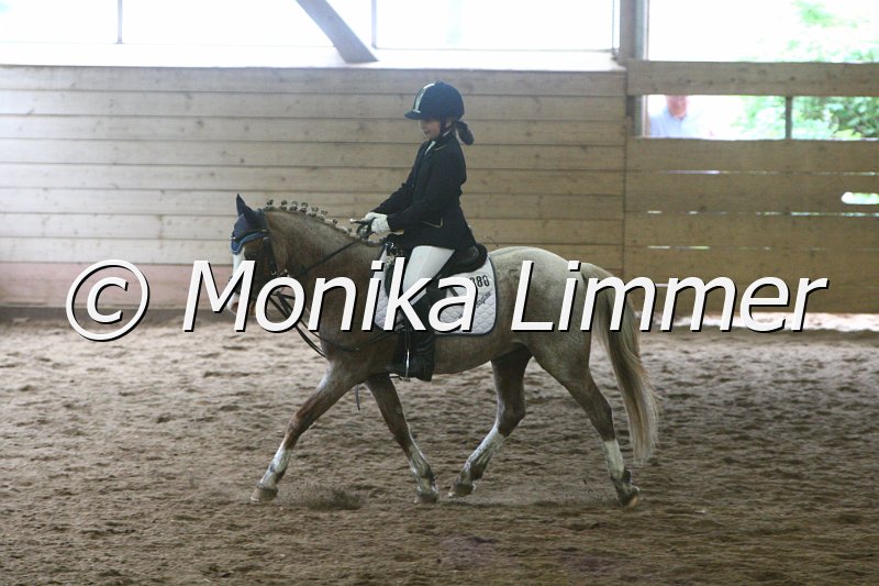 007L8601_Dress reiter WB.JPG